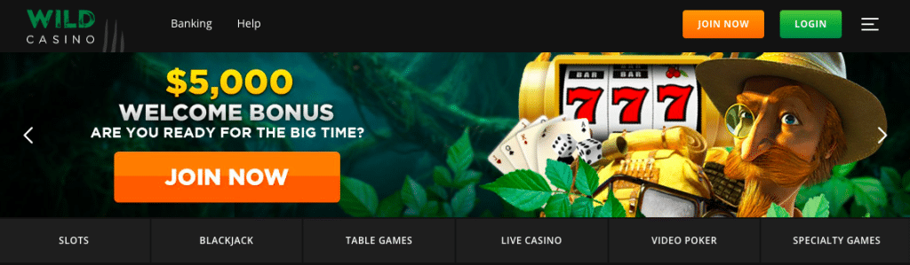 hoog return to player casino spellen van wild casino